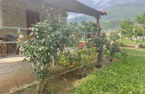 Villa Olympus - Photo 24