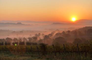 Corte Bargagli, dolce casa in palazzo toscano - Photo 10