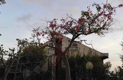 Lucrezia Garden Catania - Foto 27