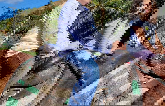 Hotel Fazenda Villa-Forte - Foto 45