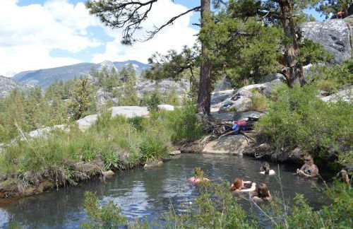 Tamarack Dream - Foto 33