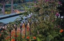 Casa Vacanze Mare E Limoni - Foto 25