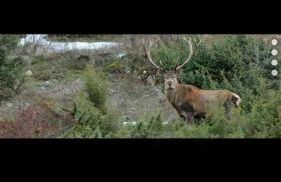 Casa Vacanze sul Gizio - Foto 31