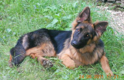 Agriturismo Alle Baite - Foto 76