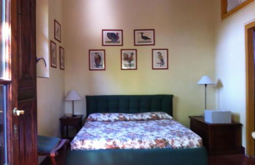 Fattoria di Migliarino - Foto 12