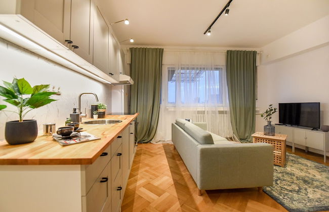 Homey - Bulevardul Carol 1 no. 45 - Foto 39