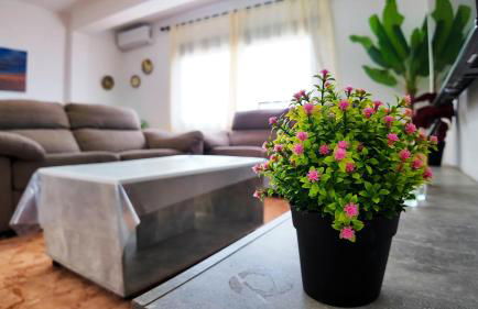 Apartalux Zen Pacific - Foto 16