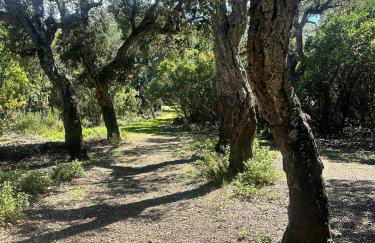 Exclusive Mediterranean Panorama in Sant Pol de Mar - Foto 62