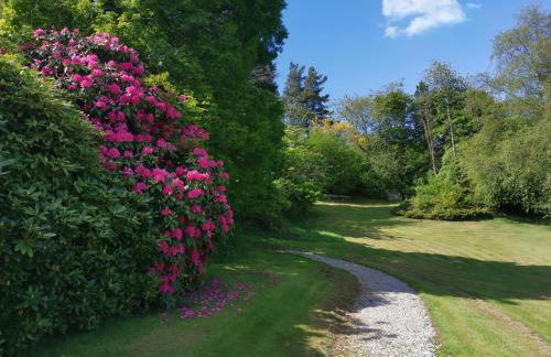 Treeside woodhouse - Foto 67