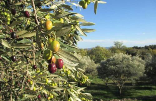 La Rose des Claux - Foto 54