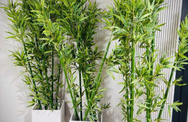 Apartament White Glove Deluxe Gdańsk Sobieszewo - Photo 11