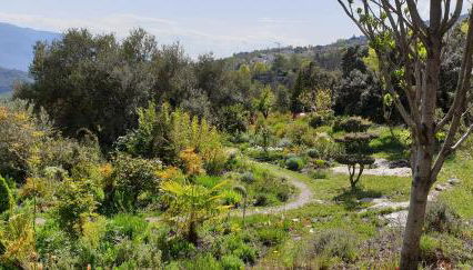 Cortijo Opazo - Foto 4, Garden