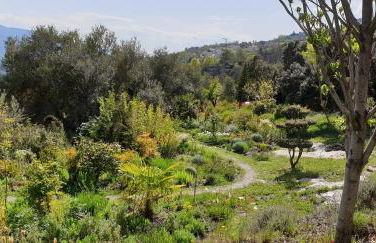 Cortijo Opazo - Foto 4