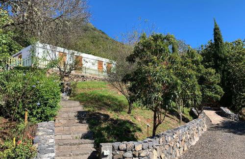 Finca el Roque - Photo 37