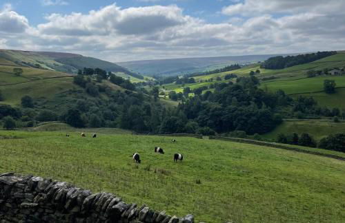 Fern Cottage - Cosy Dales Cottage in Nidderdale - Photo 41