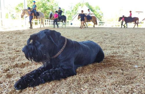 Erdhaus WEST - Ferienhof Bartel - Foto 42