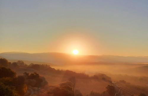 Corral de l'esquirol - Foto 41