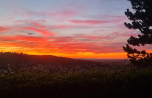 Kappler Nest - Foto 22