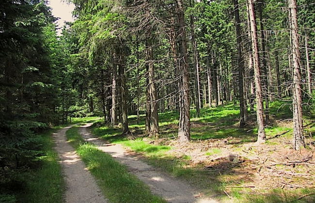 Holiday Home in Altmelon Near Weinsberg Forest - Foto 32