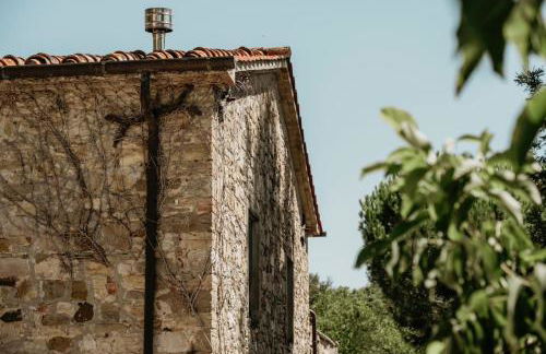 Al Podere del Nonno Romolo - Photo 8