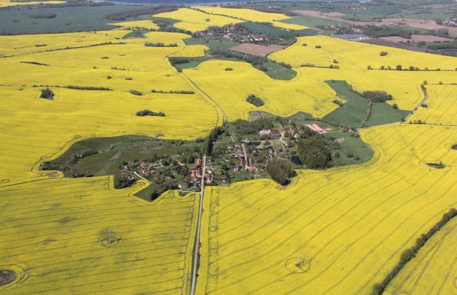 Cozy Holiday Home in Hohenkirchen near Baltic Sea - Foto 30