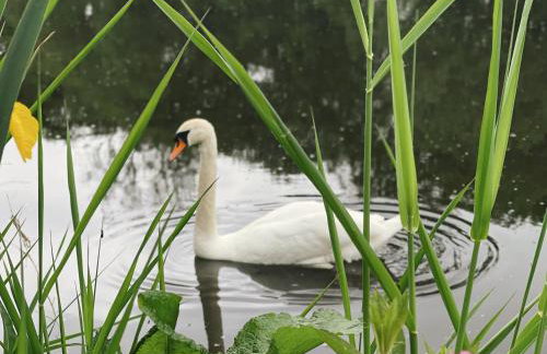 The Little Chantry - Hot Tub, Riverside, Pet Friendly - Foto 31