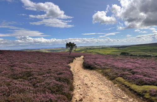 Galboly Cottage - Photo 36