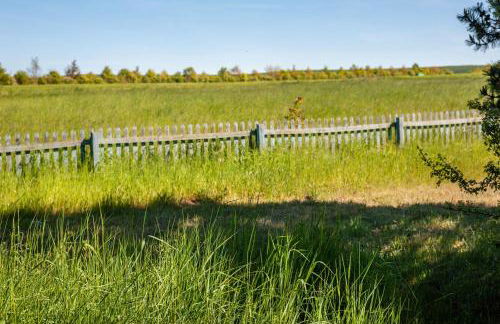 Möve Aba Bungalow 61 - Foto 24