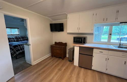 The little blue jay - Foto 12