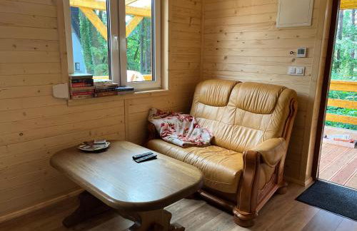 Leśna Oaza Radawa - Foto 9