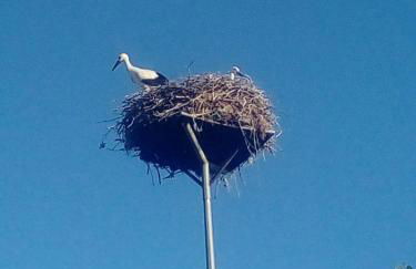 Casa da Marquinhas - Foto 79