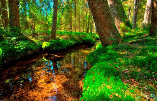 FEWO 2 Panoramablick - NEU incl 3-WeltenCard mit 140 kostenlosen Attraktionen - Foto 41