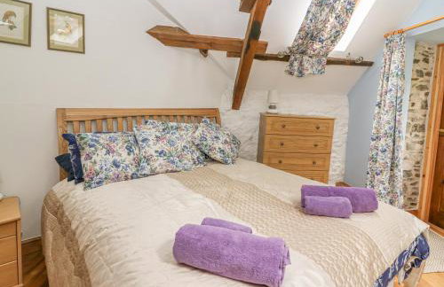 Felin Iago - Foto 17