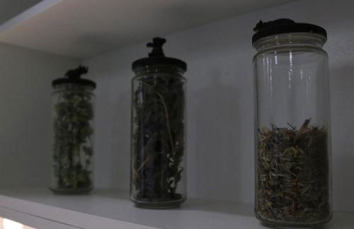 Meia Laranja - Foto 8