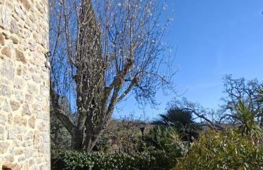 GiuMa Tuscany Historic Country House with Patio near Saturnia Hot Springs - Foto 15