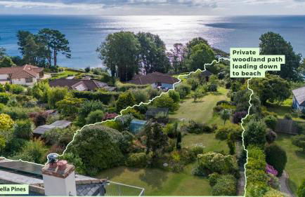 Umbrella Pines - Foto 3