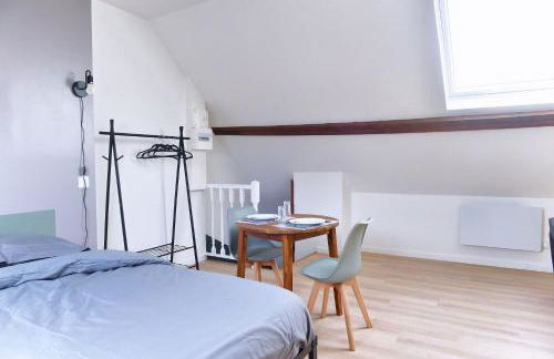 ZenkaSerenity-Ferme paisible Centre CHU-wifi-pro - Foto 31