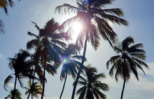 Apto família Sol do Gostoso - Foto 65