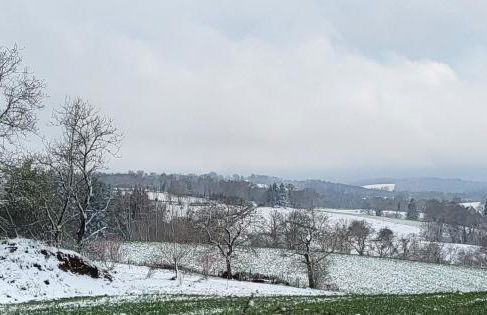 GITE TREFFLE A 4 FEUILLES - Foto 18