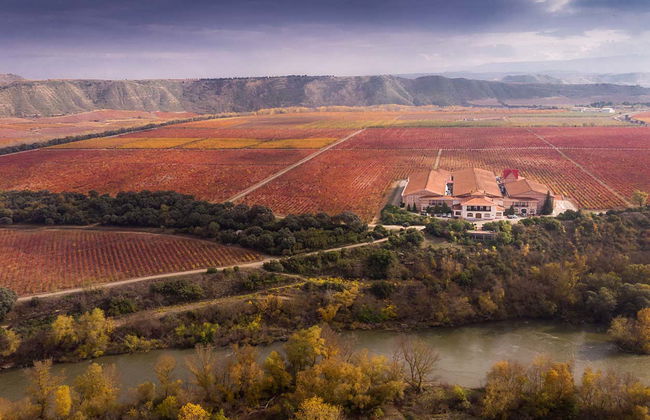 Visita a la finca Valpiedra - Foto 2