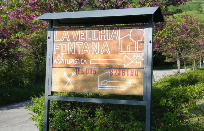 Agriturismo La Vecchia Fontana - Photo 82