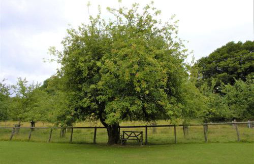 Ta Mill Cottages & Lodges - Pump Cottage - Foto 34