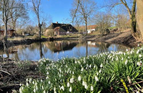 Ferienwohnung mit Luxusbad, Terrasse Ostseenähe - Foto 29