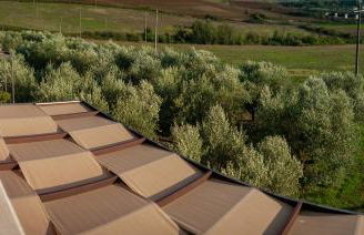 Tenuta Terre dei Latini - Photo 30