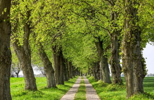 Poolhaus 1 In Hohendorf - Photo 38