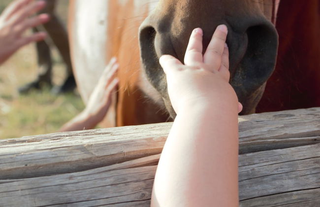 Colle San Mauro - Foto 54