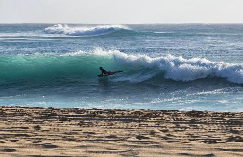 New Tropical Island Ohana near Beach with community Pool Spa Gym PingPong and more - Photo 4