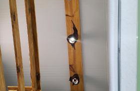 Apart-Container Penha - Photo 13