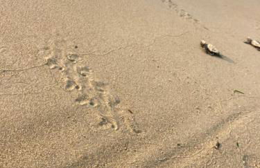 Ayïa suites - Foto 23