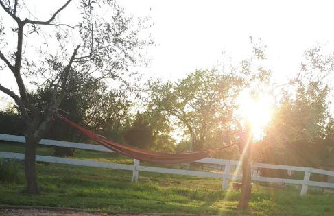 Apartments Relax Zone - Foto 31